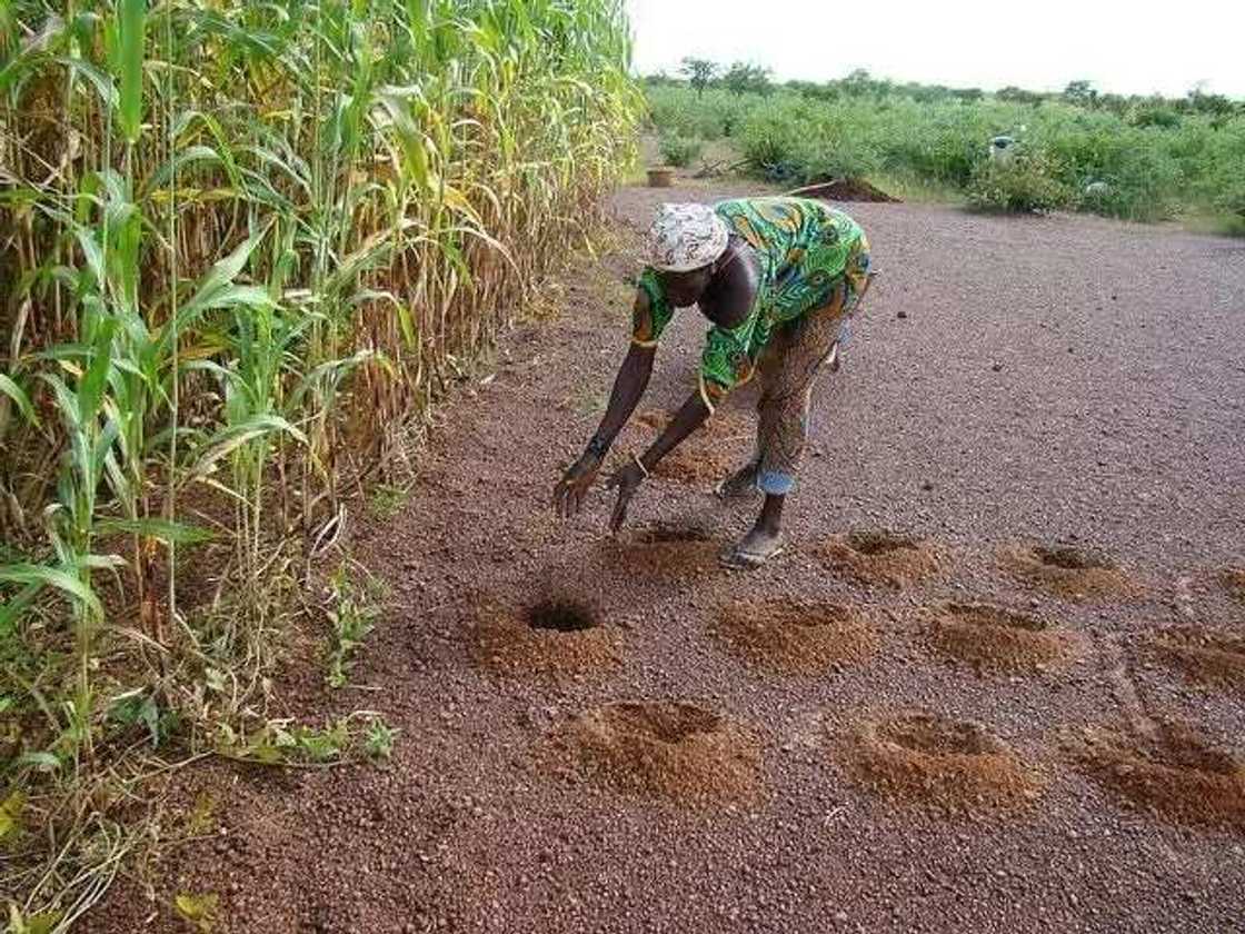 Female farmer