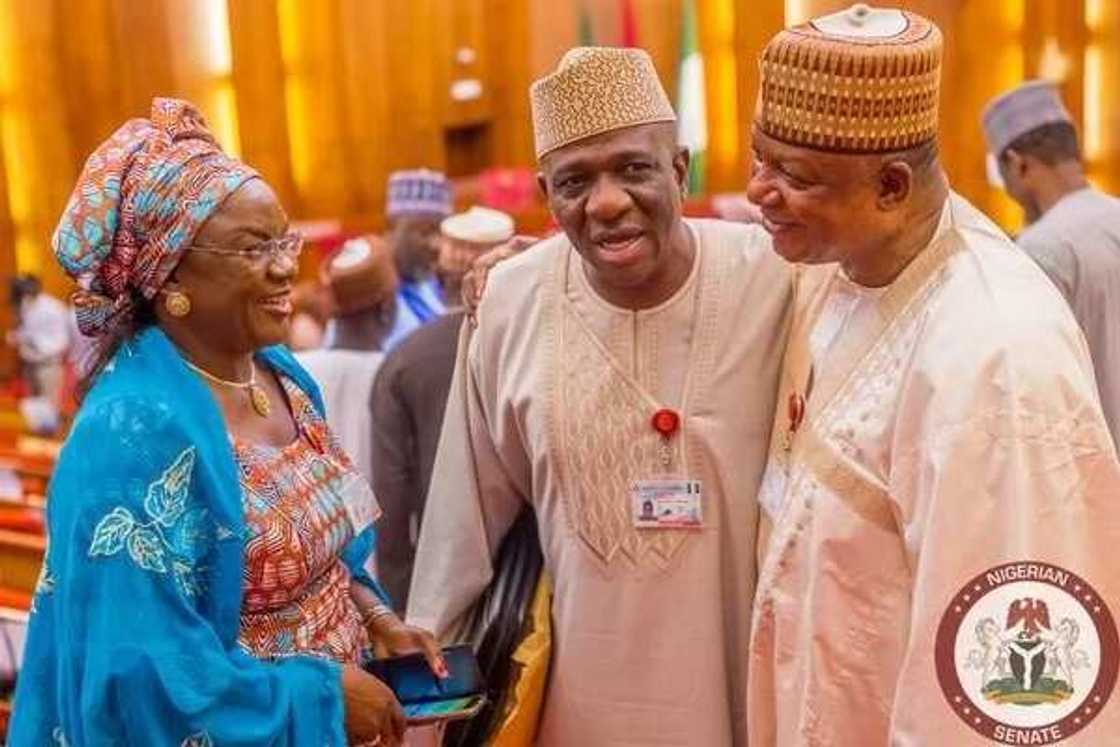 PDP Senators Silent As Senate Screens Amaechi, Others PDP Senators Silent As Senate Screens Amaechi, Others