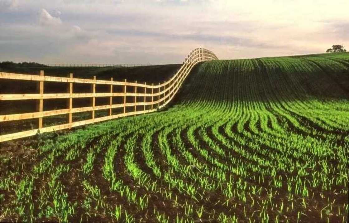 Advantages of arable farming