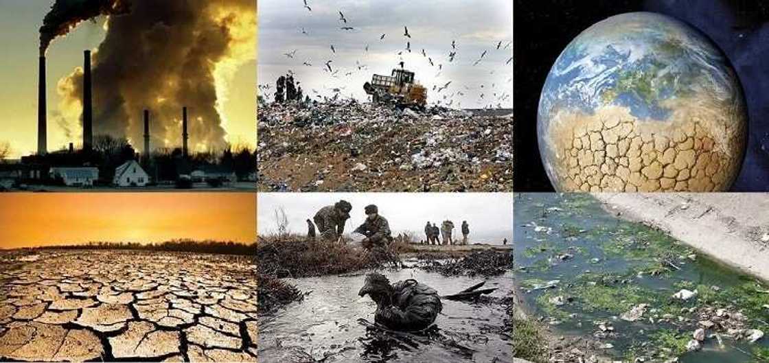 Environmental protection agencies in Nigeria Environmental protection agencies in Nigeria
