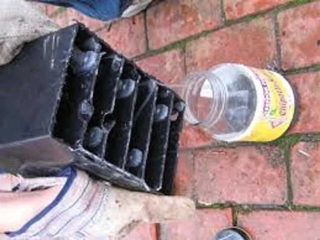 Tsallake Rijiya da baya: An kusa kashe wani Saurayi bayan ya yiwa budurwarsa wanka da guba Tsallake Rijiya da baya: An kusa kashe wani Saurayi bayan ya yiwa budurwarsa wanka da guba