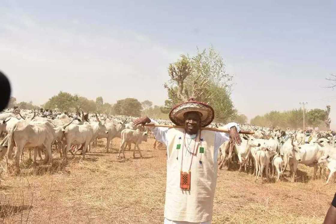 Rikicin makiyaya da manoma: Ganduje ya miƙa ma Makiyaya goron gayyata zuwa jihar Kano