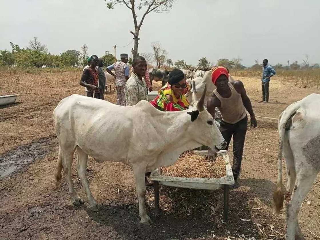 Wata 'yar a-mutum Buhari daga kabilar Ibo tace tana tare da Makiyaya Wata 'yar a-mutum Buhari daga kabilar Ibo tace tana tare da Makiyaya