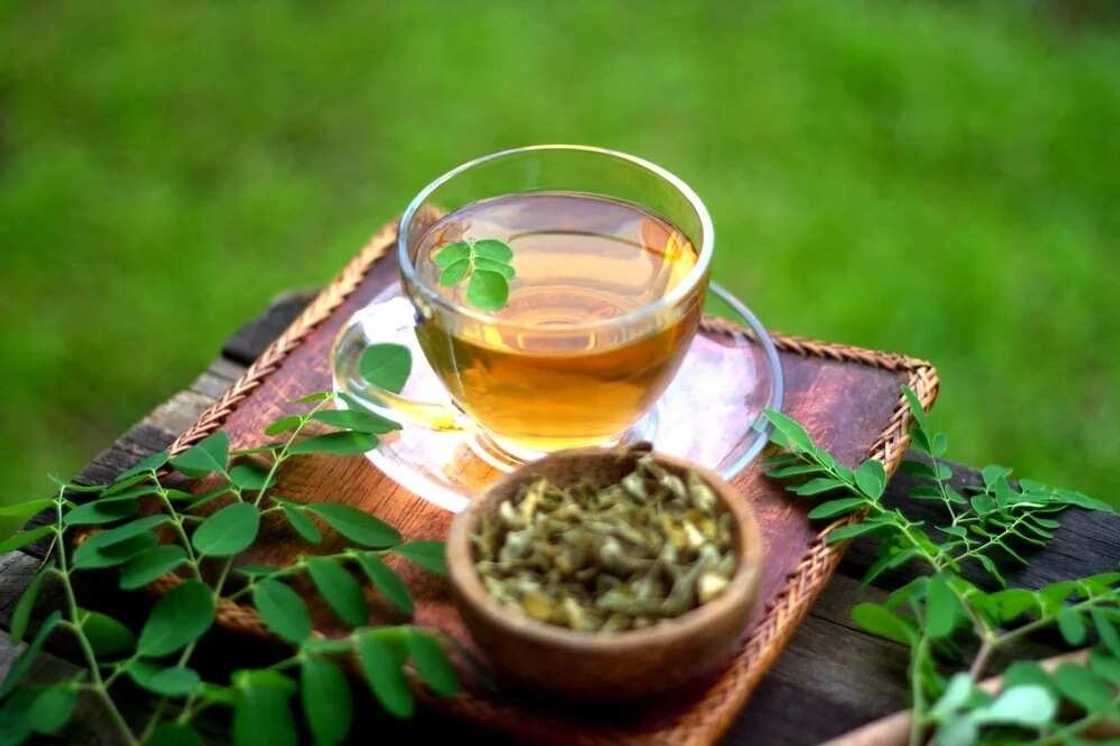 Moringa seed side effects when used in big quantity Moringa seed side effects when used in big quantity