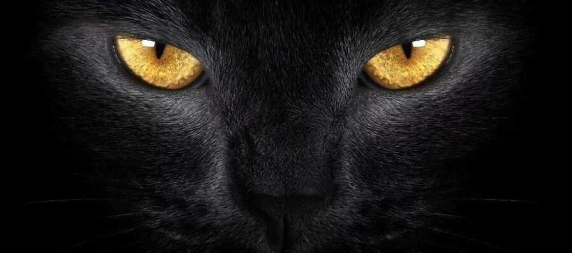 9 Nigerian superstitions that will frighten you 9 Nigerian superstitions that will frighten you