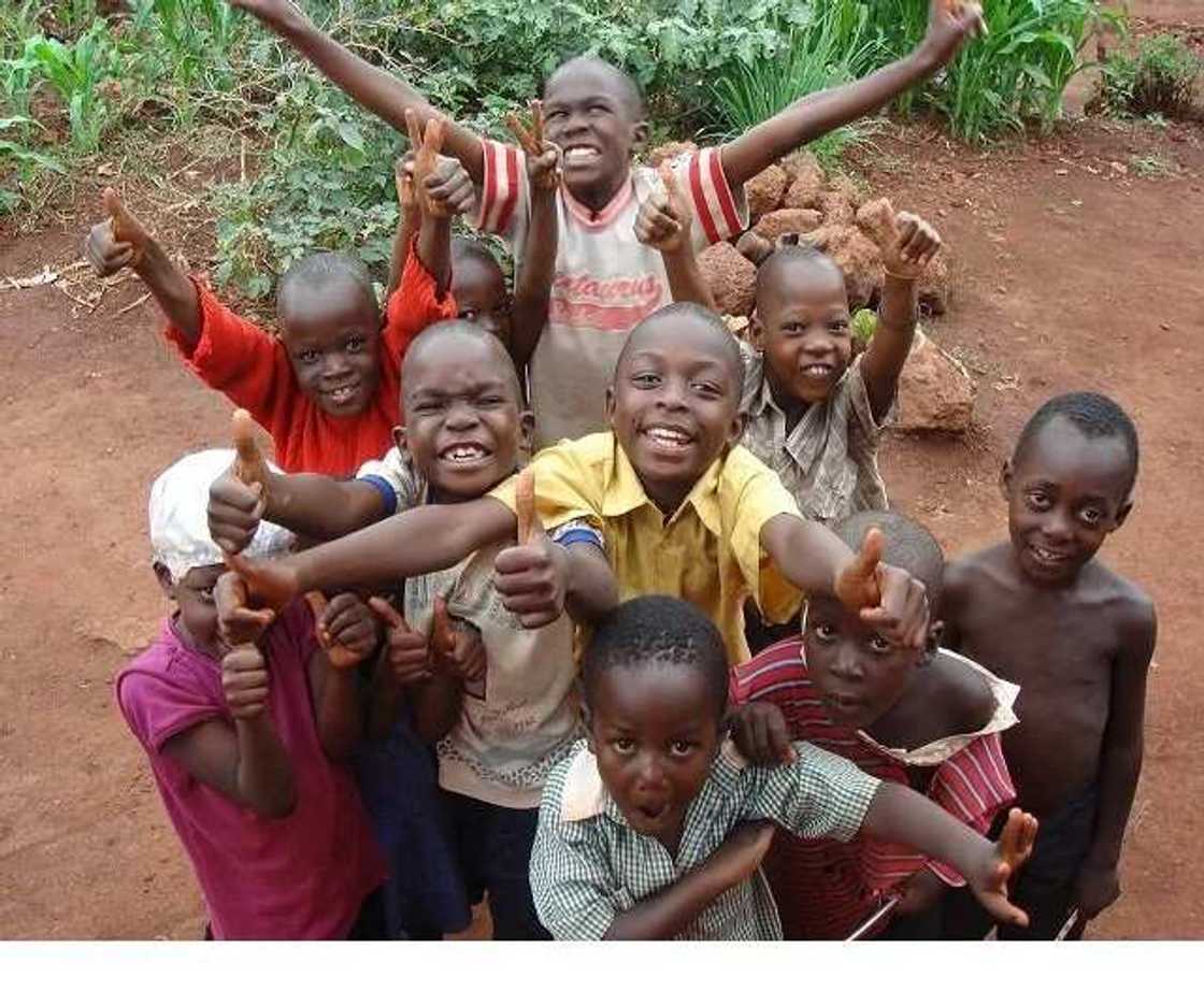 10 ways to differentiate an ajebota from an ajepako in Nigeria 10 ways to differentiate an ajebota from an ajepako in Nigeria