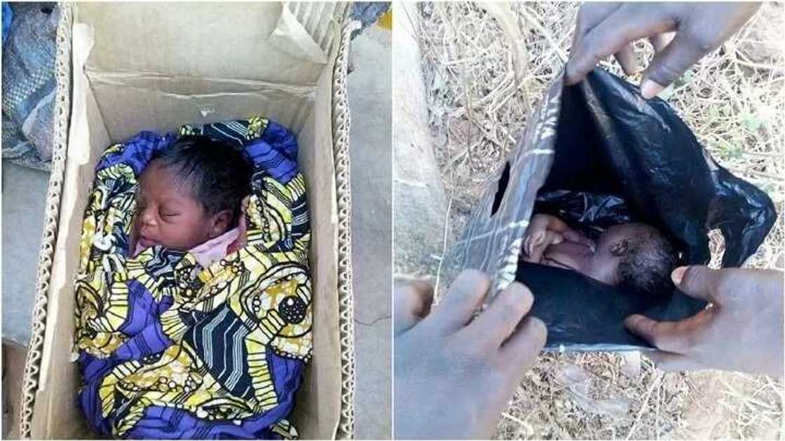 Hotuna wasu jarirai 2 da aka jefar, ɗaya cikin kwali, ɗaya cikin baƙar Leda a Kebbi Hotuna wasu jarirai 2 da aka jefar, ɗaya cikin kwali, ɗaya cikin baƙar Leda a Kebbi