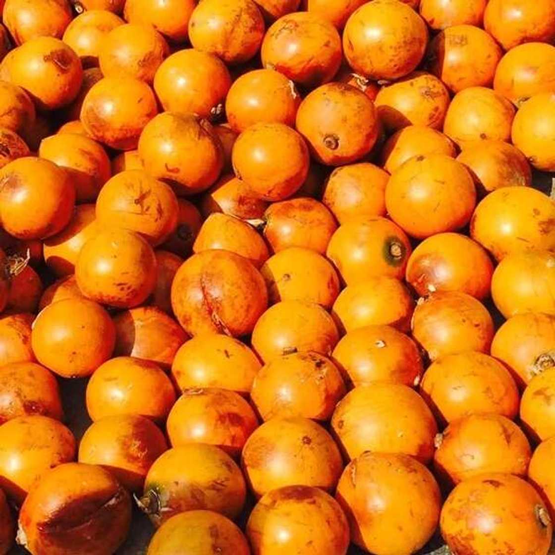Agbalumo and pregnancy: What is the health effect? Agbalumo and pregnancy: What is the health effect?