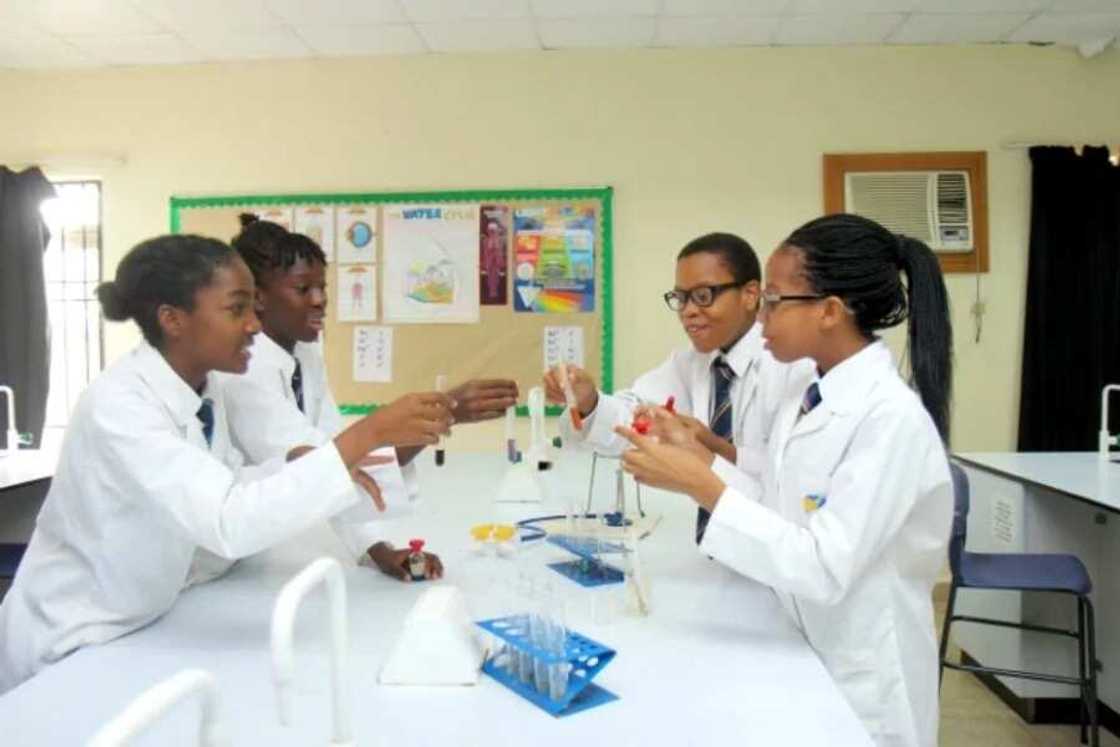 Day Waterman College fees Day Waterman College fees