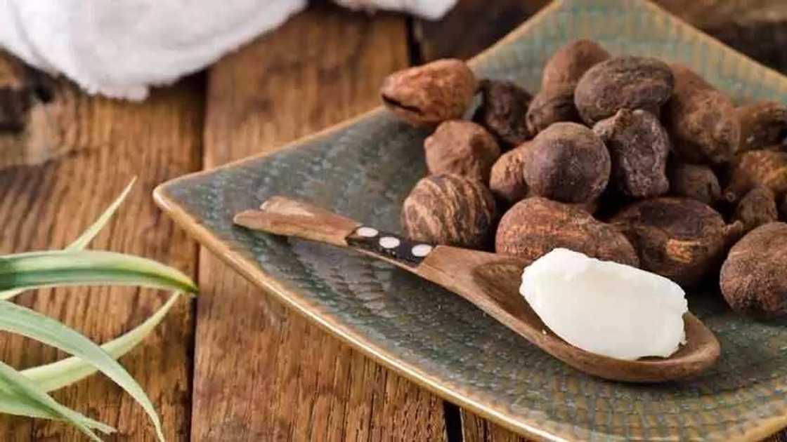 shea butter in a spoon shea butter in a spoon
