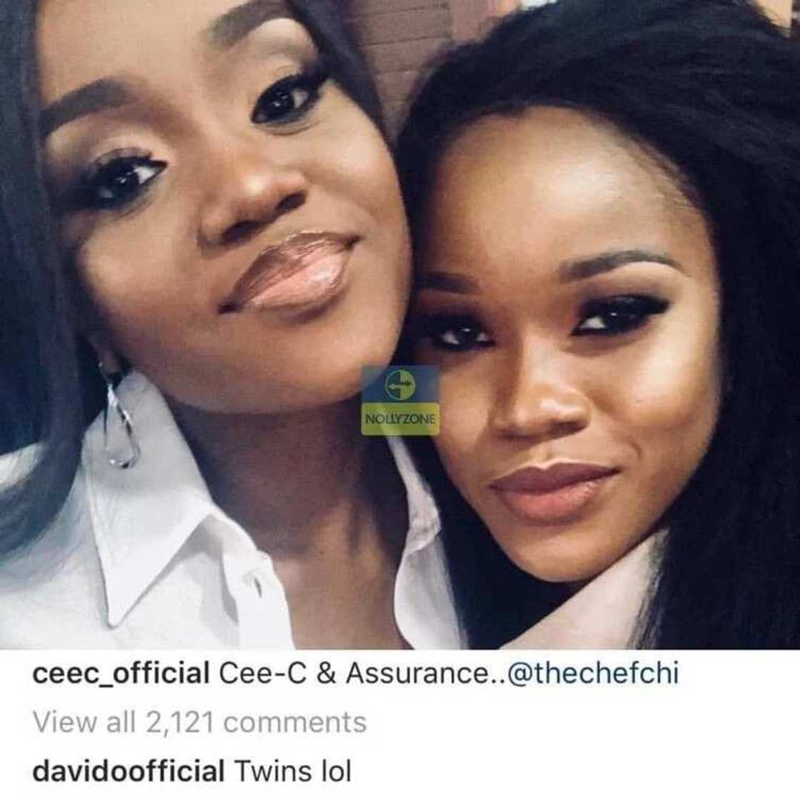 Davido's girlfriend Chioma takes photos with BBNaija's Cee-c, Singer reacts Davido's girlfriend Chioma takes photos with BBNaija's Cee-c, Singer reacts