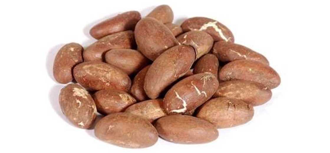 bitter kola contain caffeine bitter kola contain caffeine