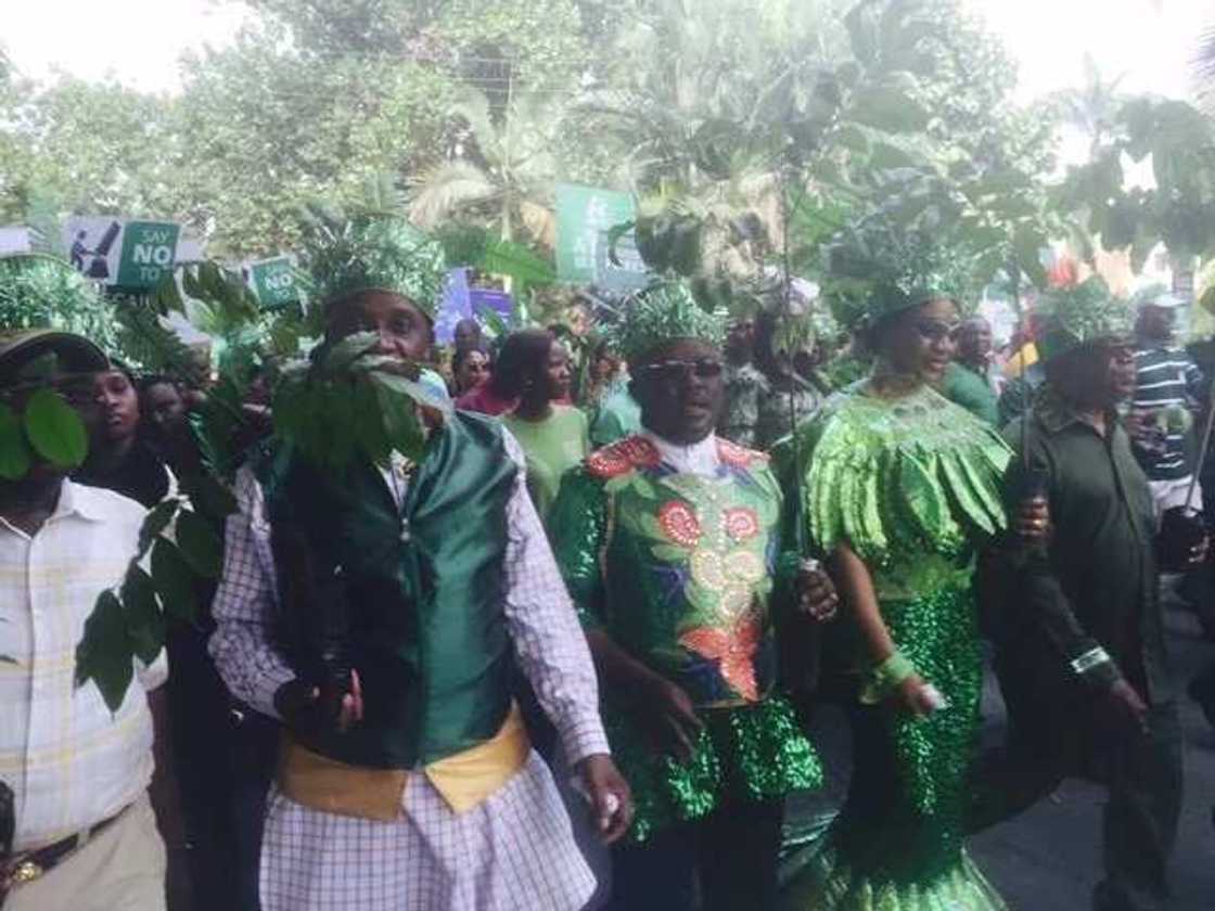 Amaechi Takes Part In 'Plant a Tree' March (PHOTOS)