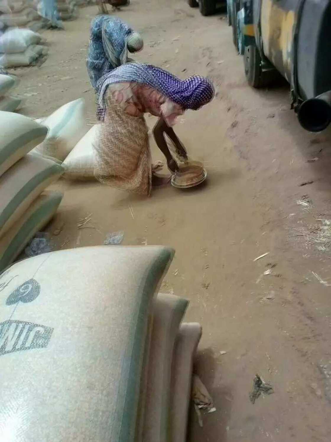 Abin takaici: Yunwa ta tuntsura mata suna tsince-tsincen hatsin da ya zube ƙasa Abin takaici: Yunwa ta tuntsura mata suna tsince-tsincen hatsin da ya zube ƙasa