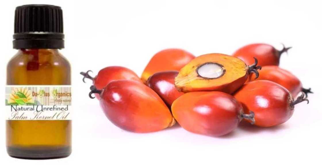 Palm kernel oil bottle Palm kernel oil bottle