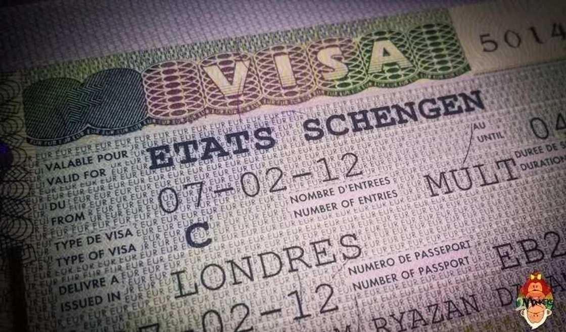 Schengen Visa