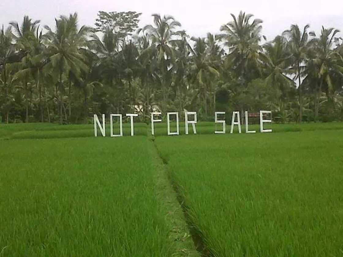 10 Most Fraudulent Places To Buy A Land In Lagos 10 Most Fraudulent Places To Buy A Land In Lagos