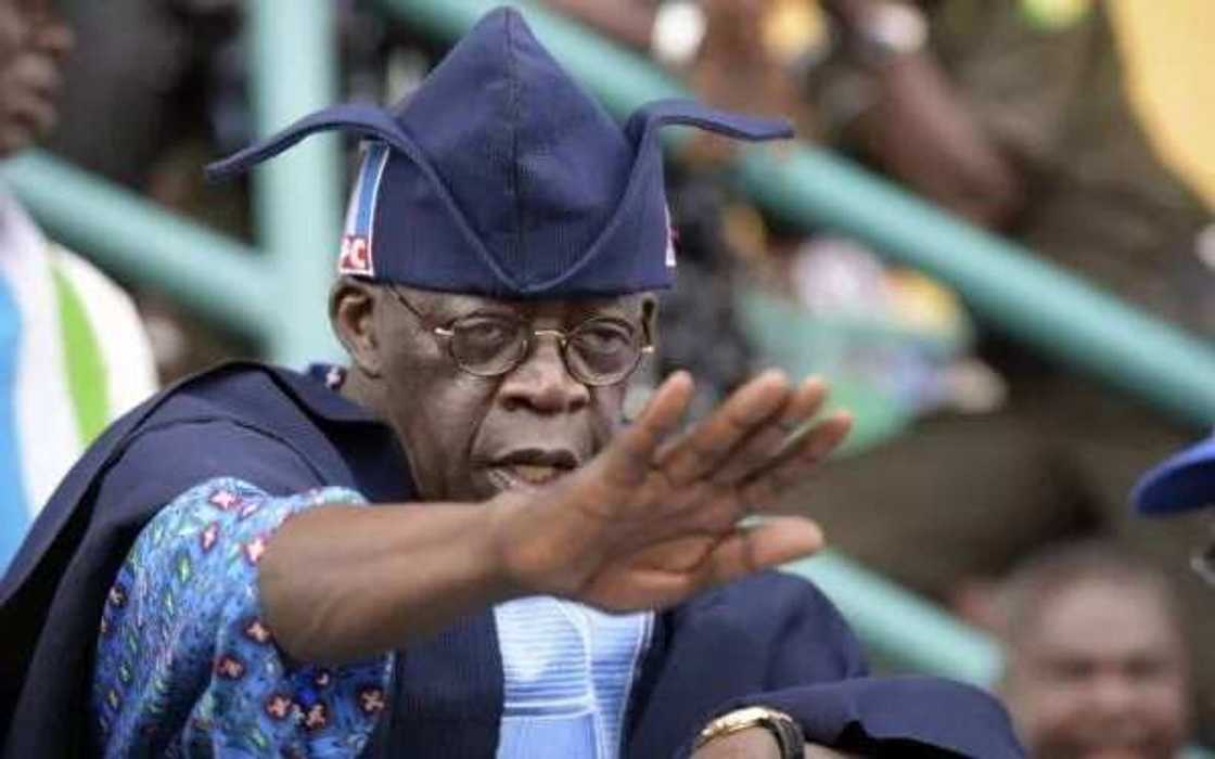 Tinubu demands Oyegun's resignation Tinubu demands Oyegun's resignation