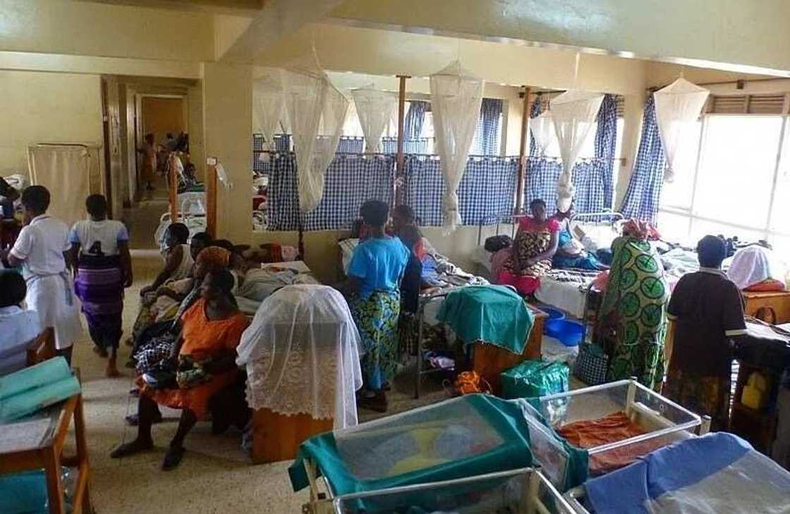 Maternity ward Maternity ward