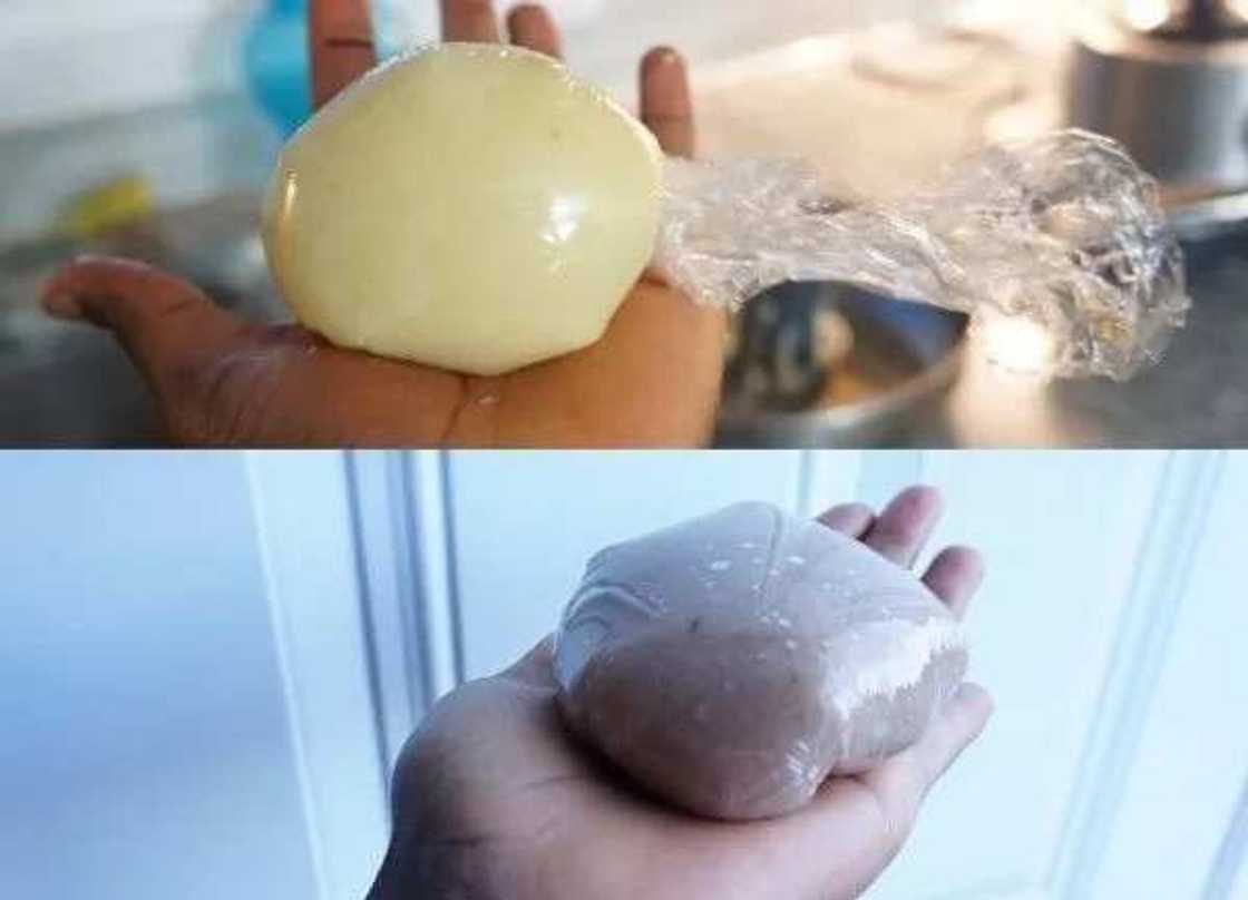 Nigerian swallow Nigerian swallow