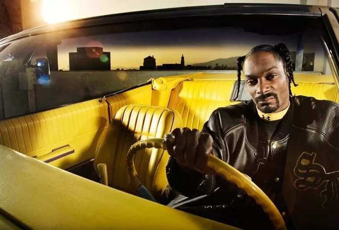 Snoop Dogg net worth 2018 forbes Snoop Dogg net worth 2018 forbes