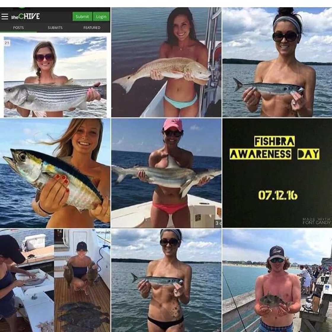 #FishBra: The latest craze among women #FishBra: The latest craze among women