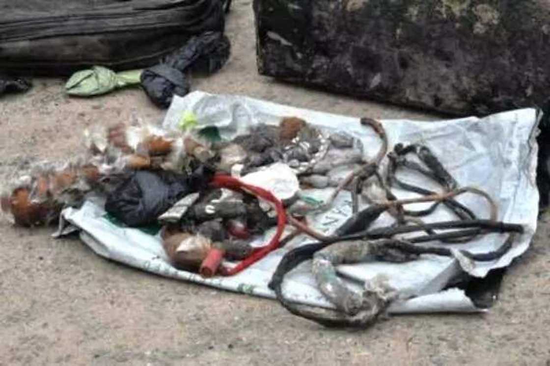 Tsananin matsa ya sanya wani tsoho shekawa lahira a hannun jami’an SARS a Kano Tsananin matsa ya sanya wani tsoho shekawa lahira a hannun jami’an SARS a Kano