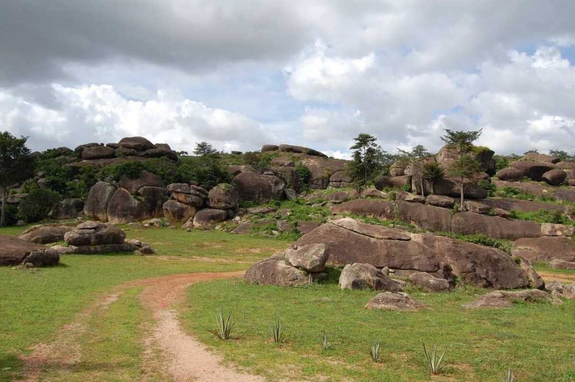 Land acquisition in Nigeria Land acquisition in Nigeria