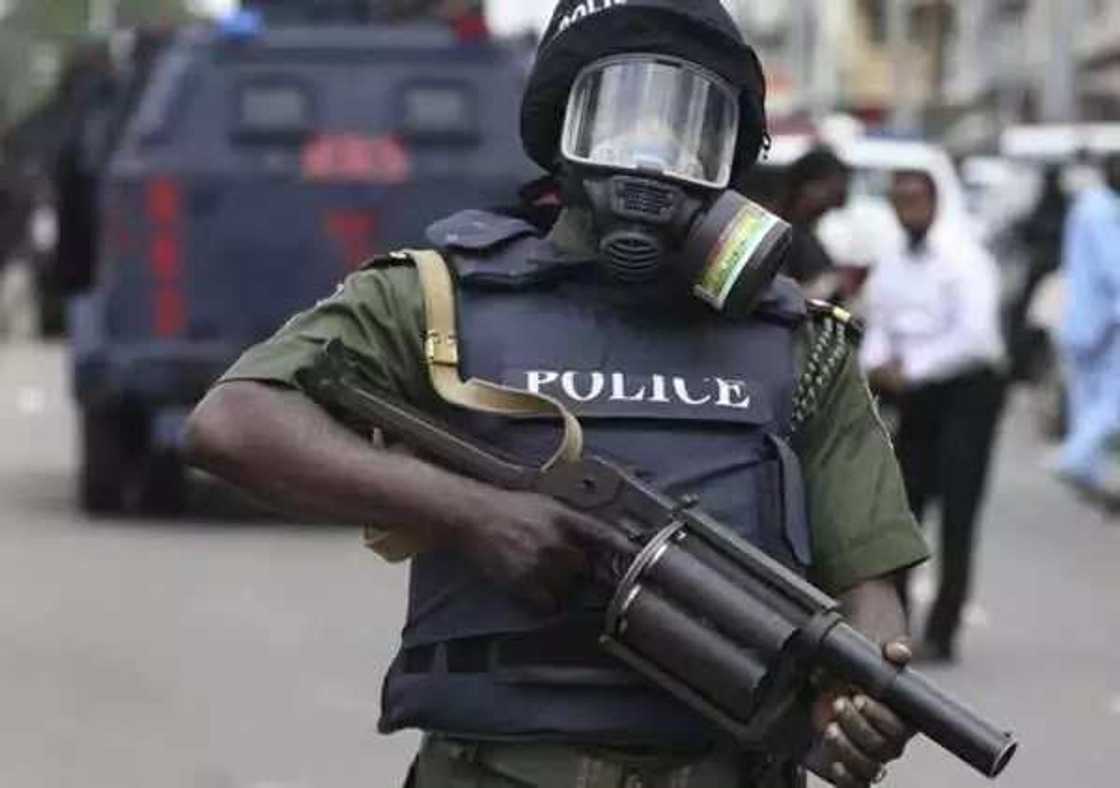 An cafke kasurgumin mai garkuwa da mutane a jihar Jigawa An cafke kasurgumin mai garkuwa da mutane a jihar Jigawa