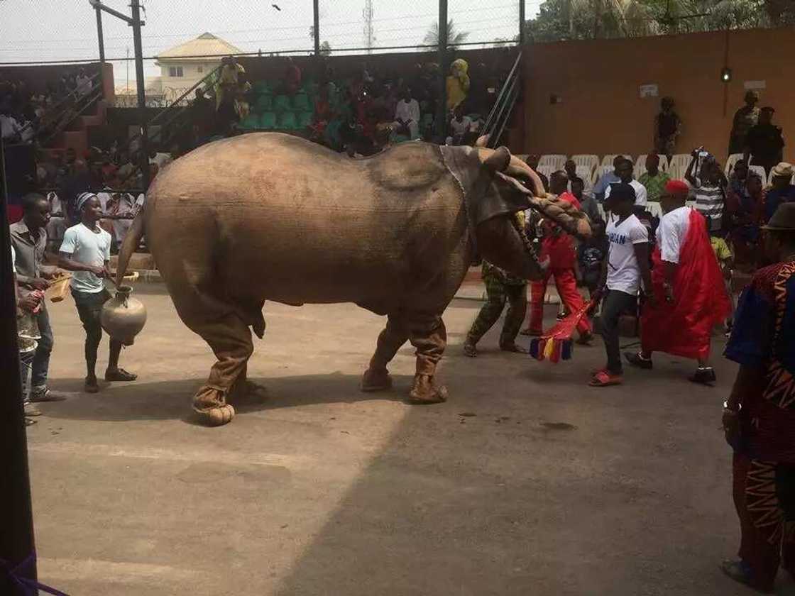 Timipre Sylva conferred with chieftaincy title in Igboland