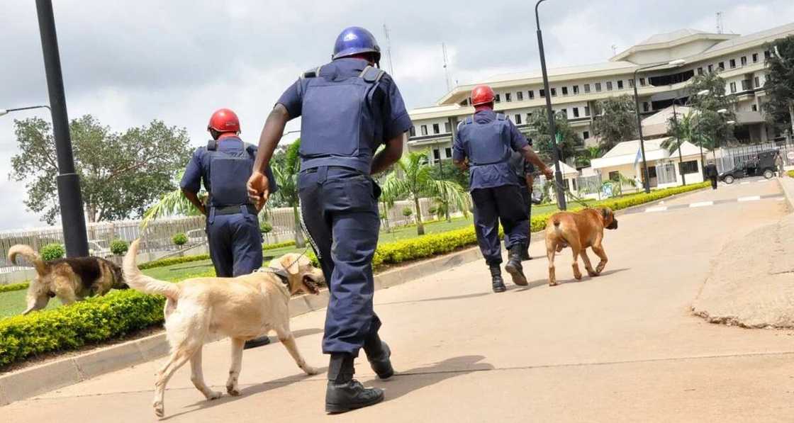 security tips in Nigeria security tips in Nigeria