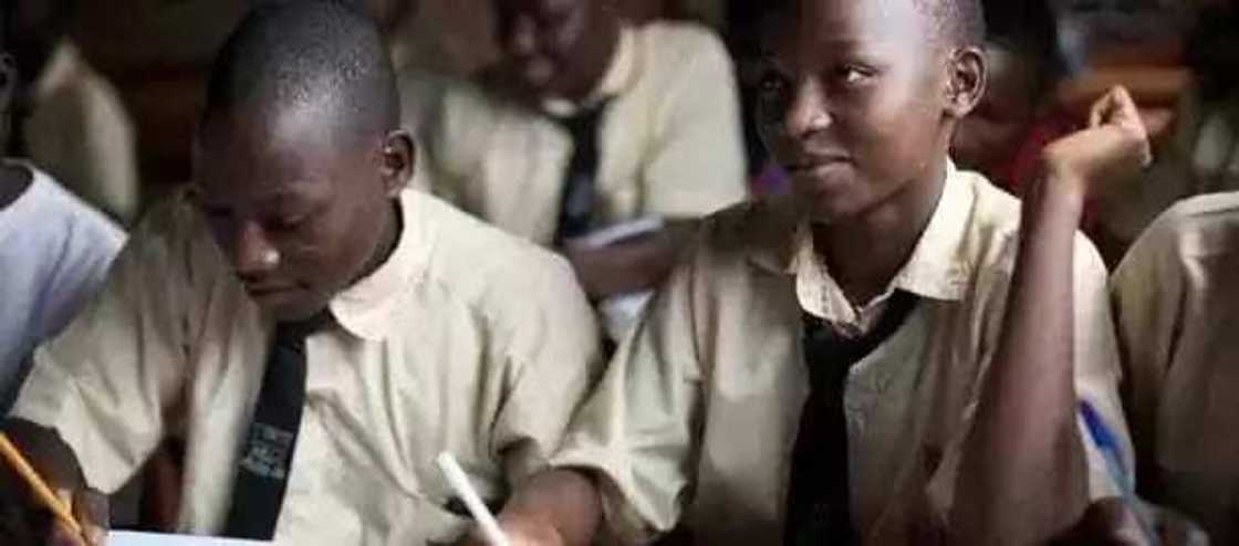 Zaƙaƙurin ɗan Arewa Jelani Aliyu, maƙerin hamshaƙan motocin alfarma Zaƙaƙurin ɗan Arewa Jelani Aliyu, maƙerin hamshaƙan motocin alfarma