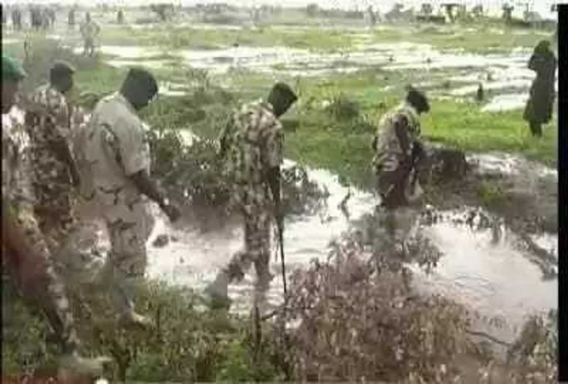 Sojan daya ya shirya mutuwa Sojan daya ya shirya mutuwa