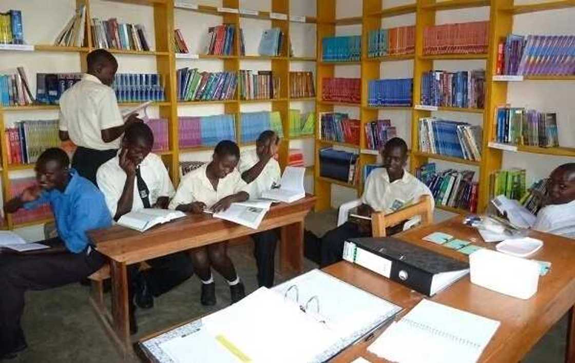 History of library in Nigeria