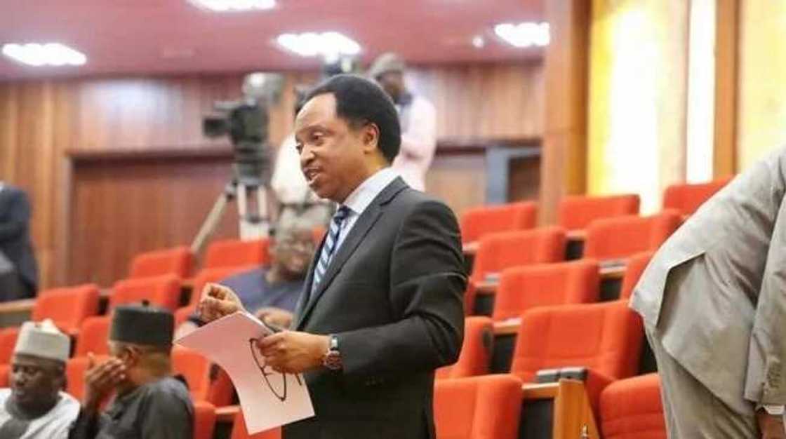 2019: Abubuwa sun cabewa wasu ‘Yan siyasa bayan Shehu Sani ya samu tikitin APC