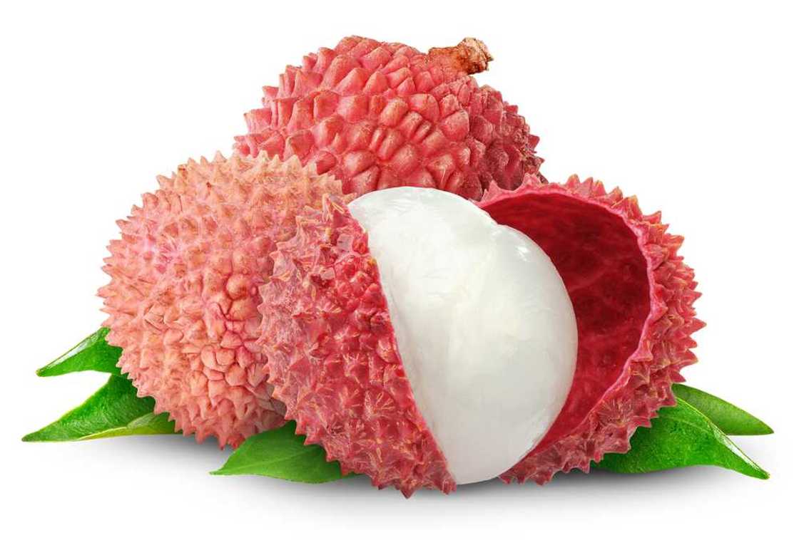 lychee fruit lychee fruit