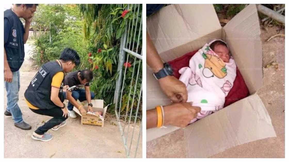 New born baby found dumped in a carton outside a house (photos) New born baby found dumped in a carton outside a house (photos)