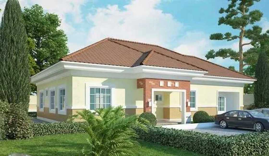 Modern house plan Modern house plan