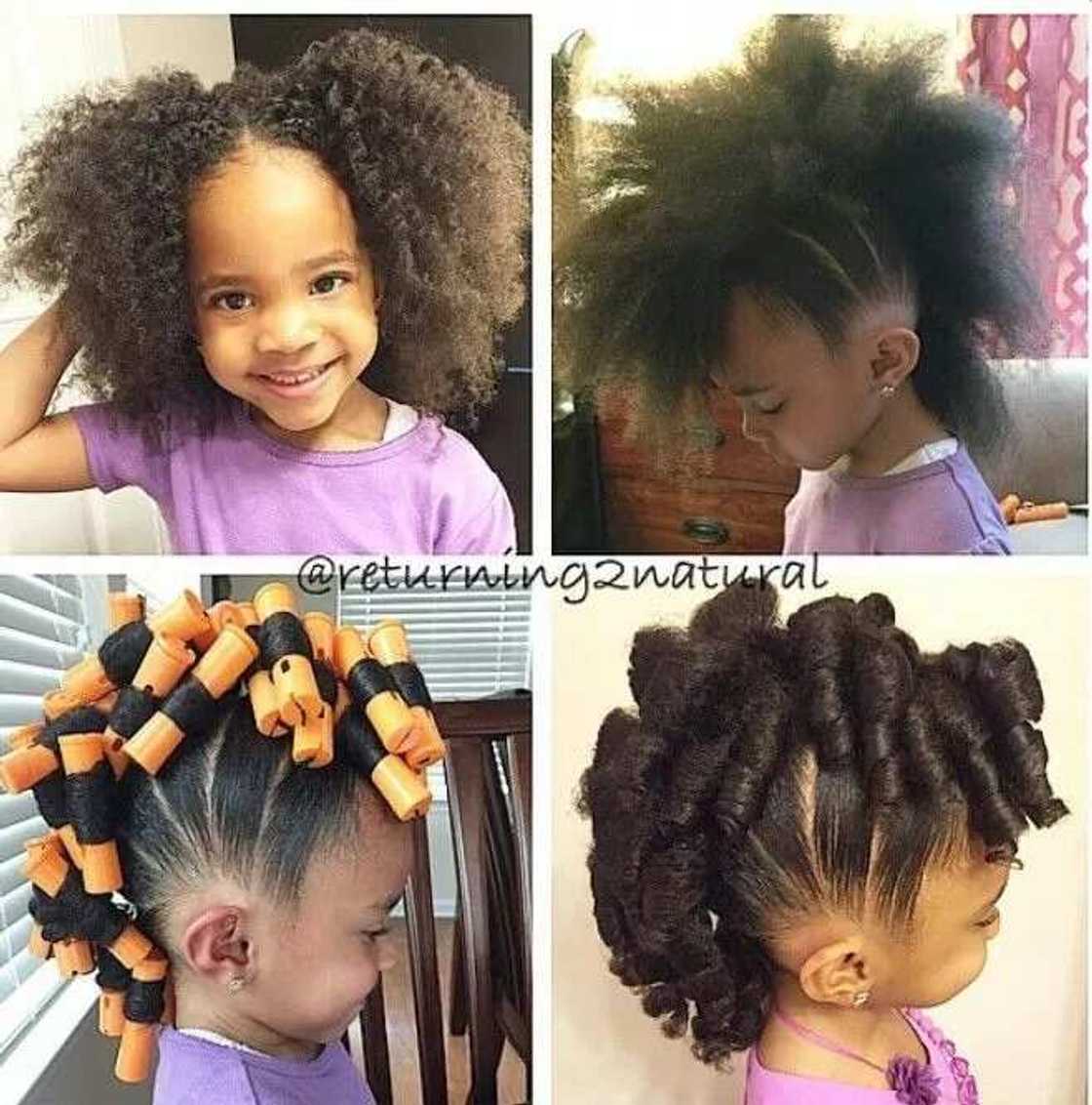 Pony hawk Pony hawk