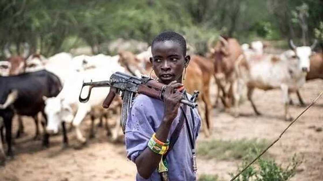 4 die as Fulani herdsmen clash with Kwara community 4 die as Fulani herdsmen clash with Kwara community