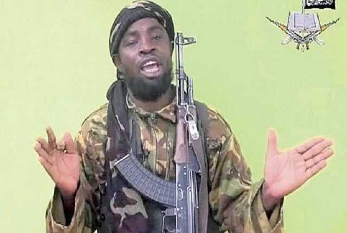 Shekau is dead - Nigerian Army Shekau is dead - Nigerian Army