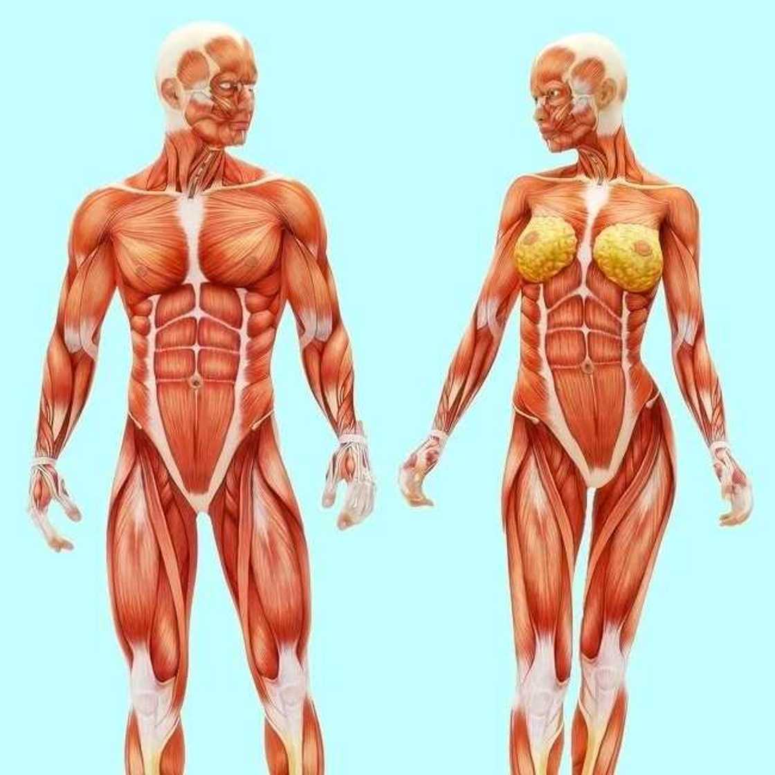 In dai kana yin wadannan abubuwan to ba sai kaje asibiti ganin likita ba In dai kana yin wadannan abubuwan to ba sai kaje asibiti ganin likita ba