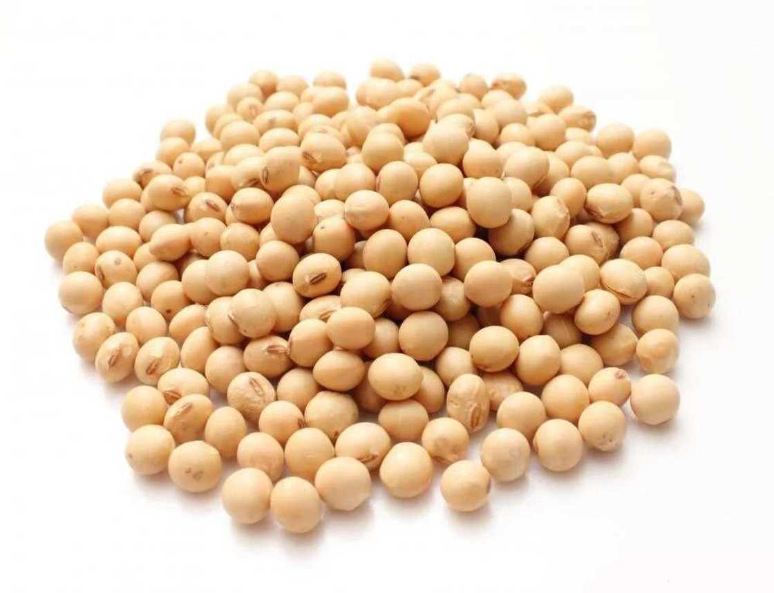 Benefits of soya beans to babies Benefits of soya beans to babies
