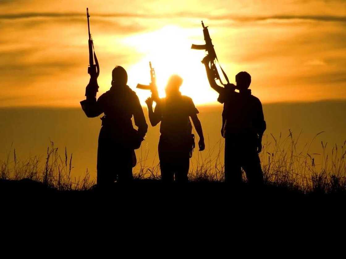 Why Muslims should never have to apologize for terrorism Why Muslims should never have to apologize for terrorism