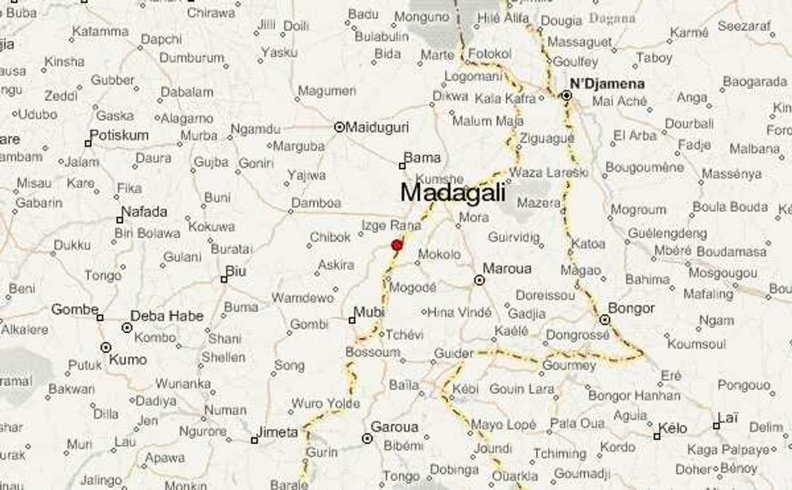 Boko Haram kills two in fresh Adamawa attack Boko Haram kills two in fresh Adamawa attack