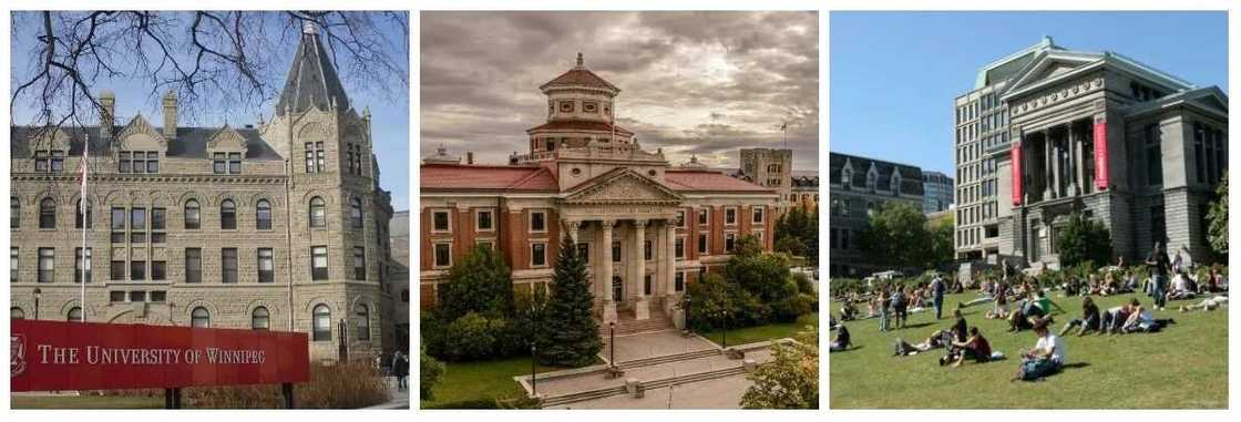 Medical universities Medical universities