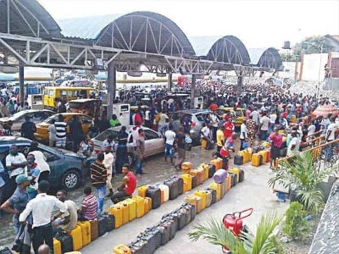 A crowd waiting to buy fuel A crowd waiting to buy fuel