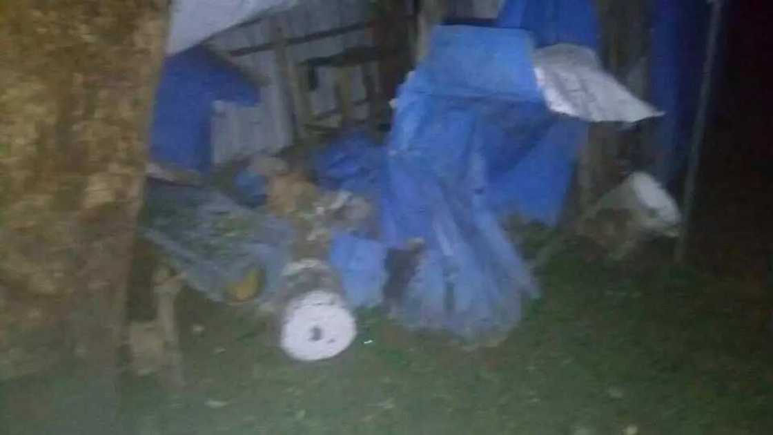 3 female Boko Haram terrorists killed in new attack (photos) 3 female Boko Haram terrorists killed in new attack (photos)