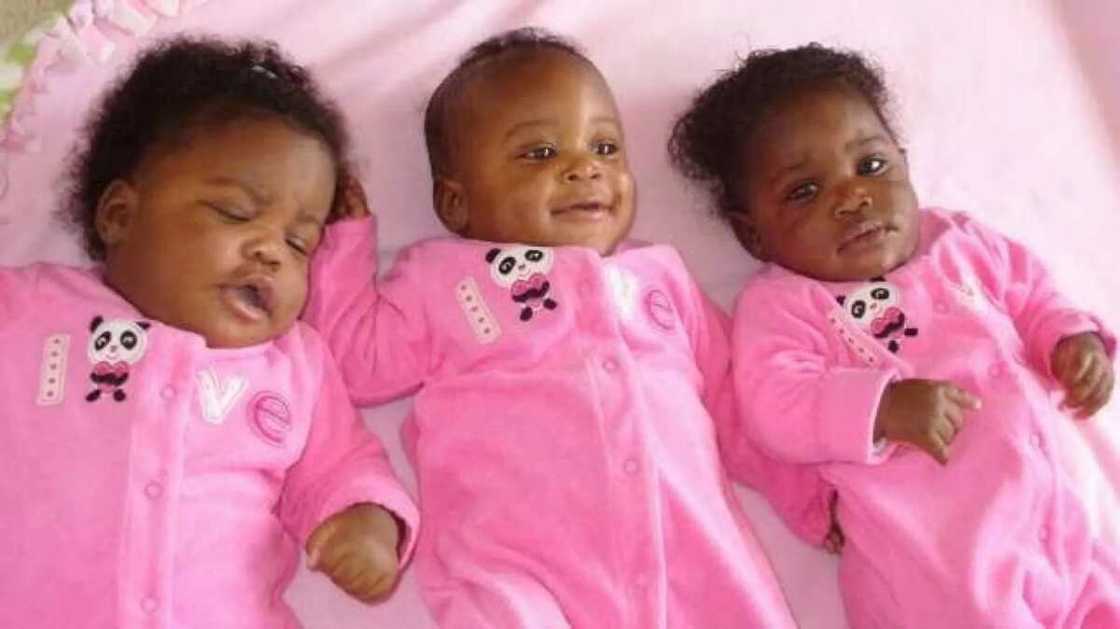 List of baby food companies in nigeria List of baby food companies in nigeria