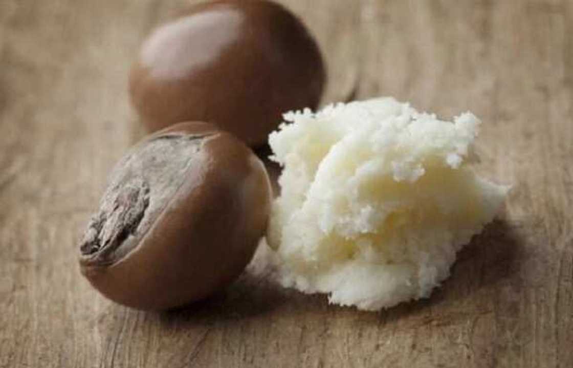 shea butter and shea nuts shea butter and shea nuts